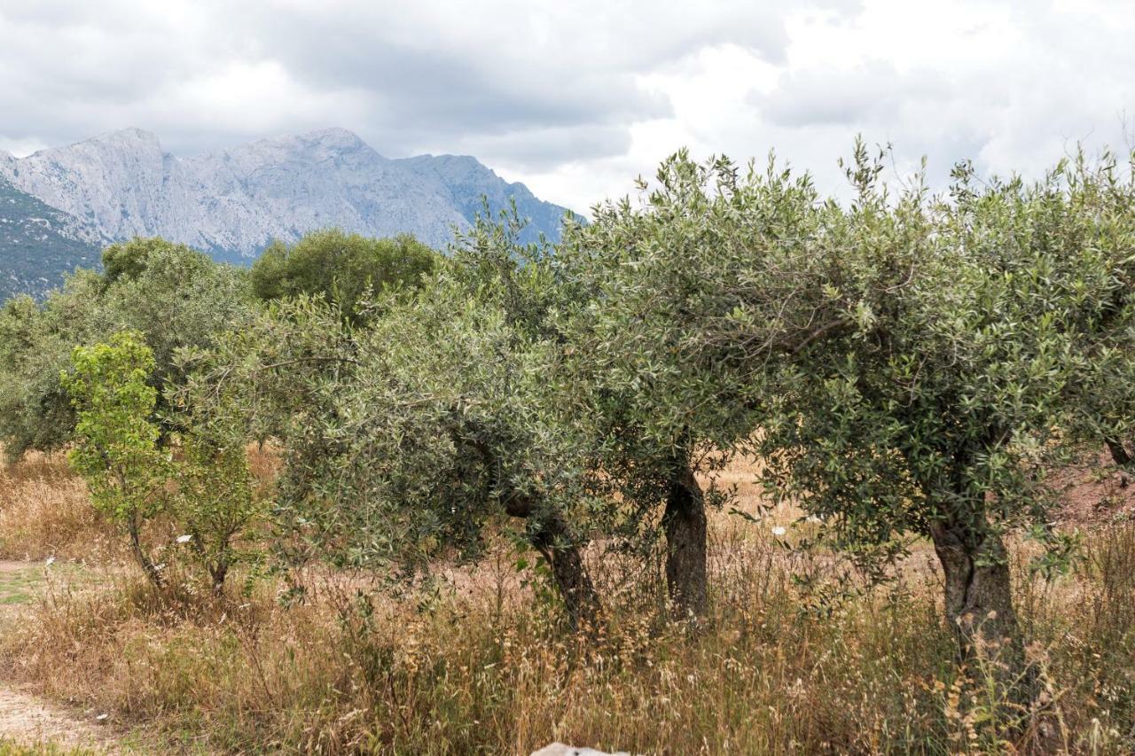 S'ulumu * Dorgali