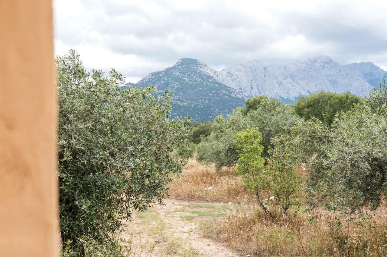 S'ulumu * Dorgali