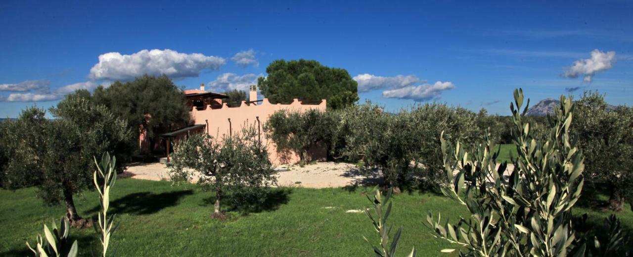 Séjour à la campagne S'ulumu Dorgali