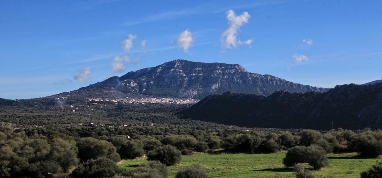 S'ulumu * Dorgali